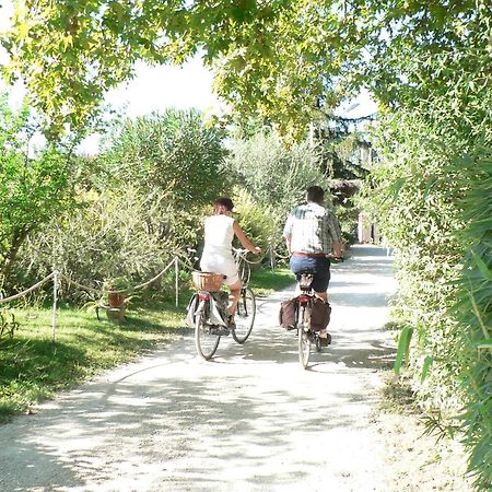 International Glamping Lago Di Bracciano Тревиньяно-Романо Экстерьер фото