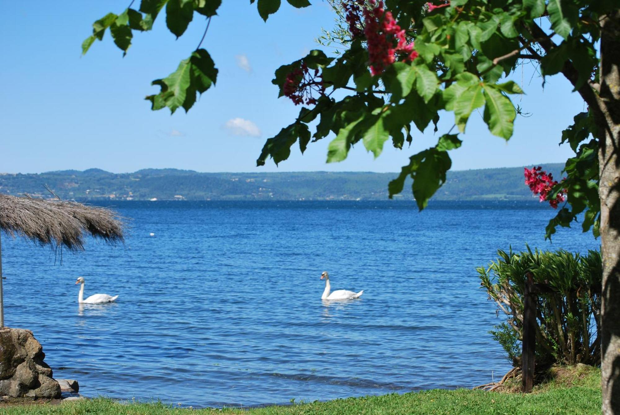 International Glamping Lago Di Bracciano Тревиньяно-Романо Экстерьер фото
