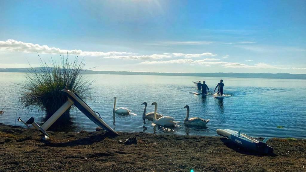 International Glamping Lago Di Bracciano Тревиньяно-Романо Экстерьер фото
