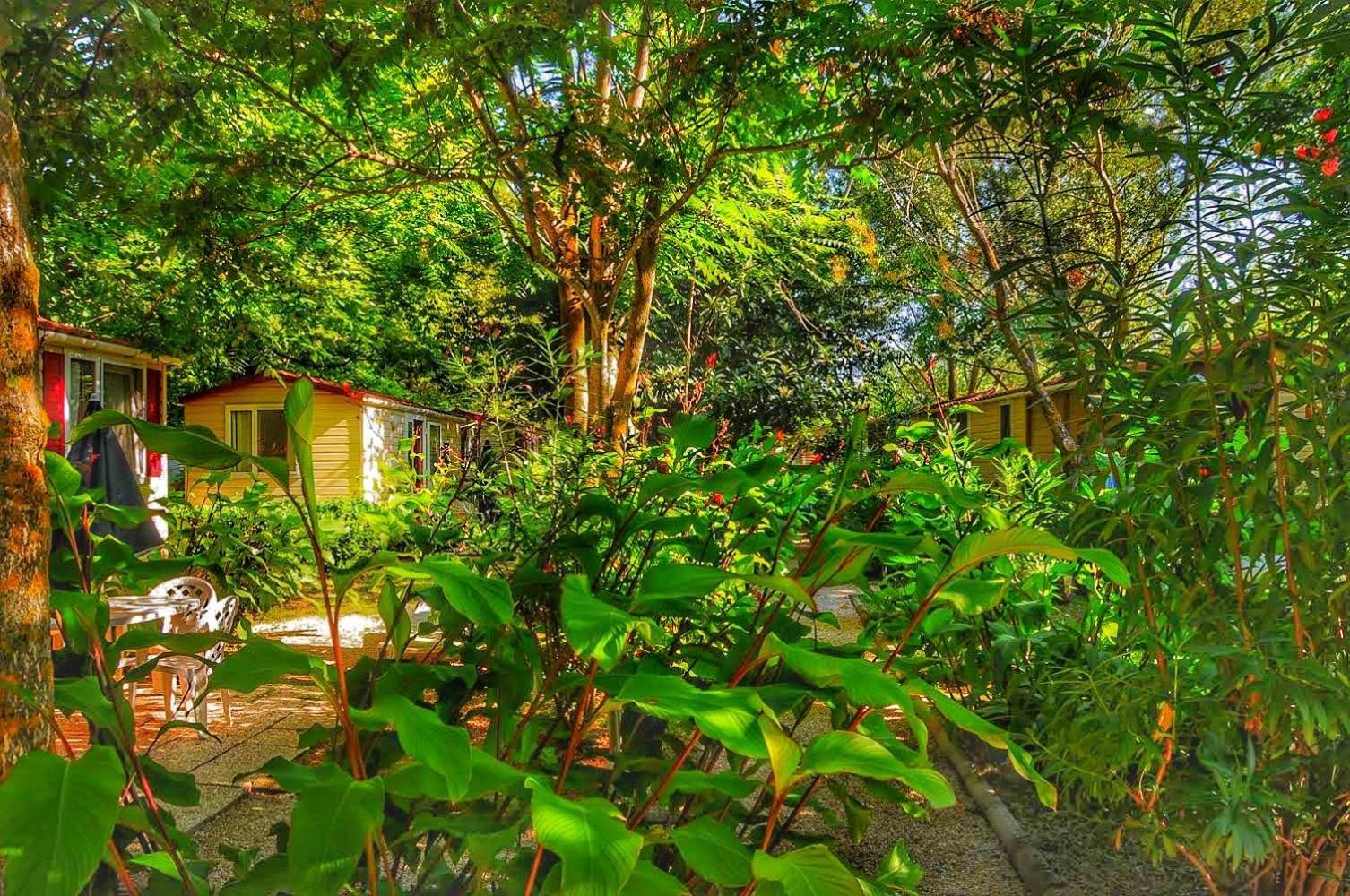 International Glamping Lago Di Bracciano Тревиньяно-Романо Экстерьер фото