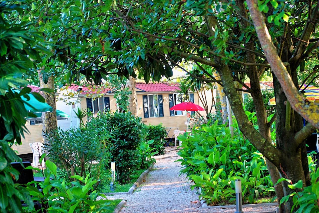International Glamping Lago Di Bracciano Тревиньяно-Романо Экстерьер фото